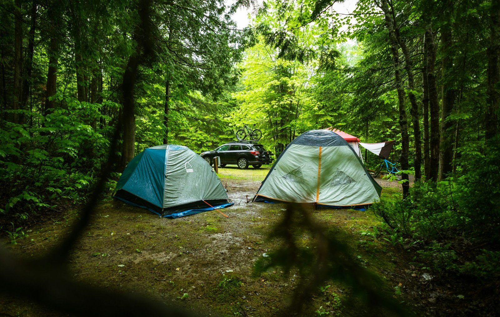 Texas Summer Camping: Heat, Water and Fire Safety